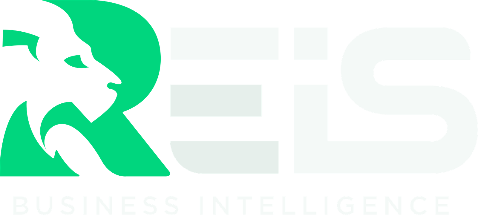 Reis Business Intelligence